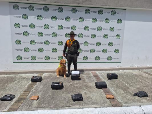 La sustancia llegó en una encomienda a la terminal de transportes de Ibagué.