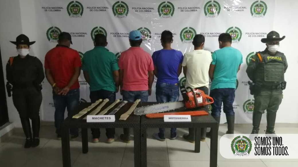 Tala-indiscriminada-en-el-Meta1