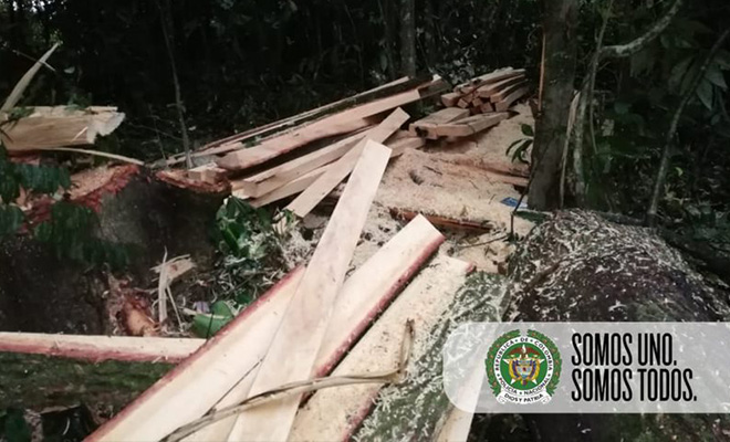 Captura delitos ambientales