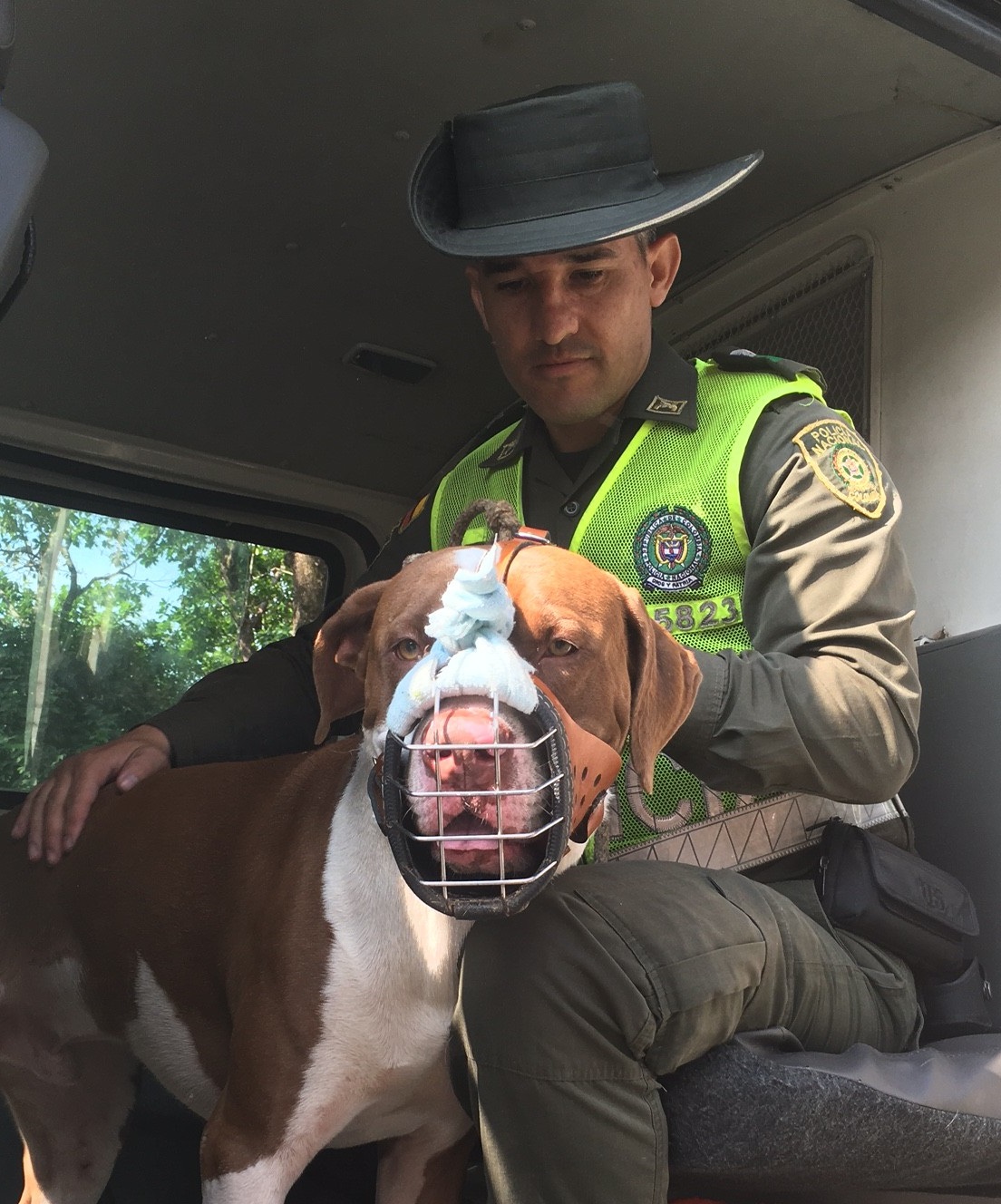 Sensibilizamos a los ciudadanos sobre la tenencia responsable de mascotas