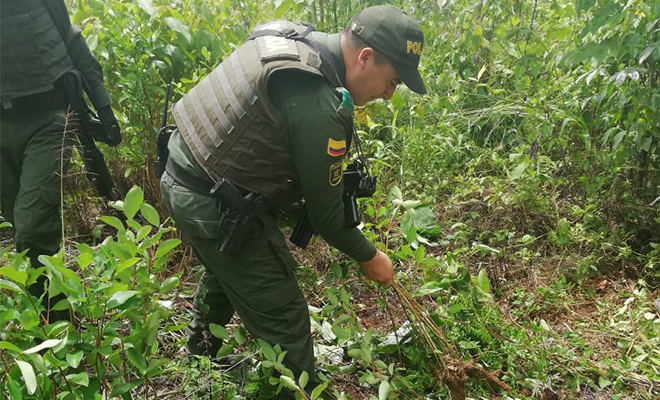 En-el-Meta-desplegamos-nuestro-Plan Institucional-todos-contra-el-Narcotráfico