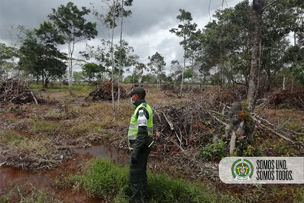 Todos-contra-la-deforestación-en-el-Meta1