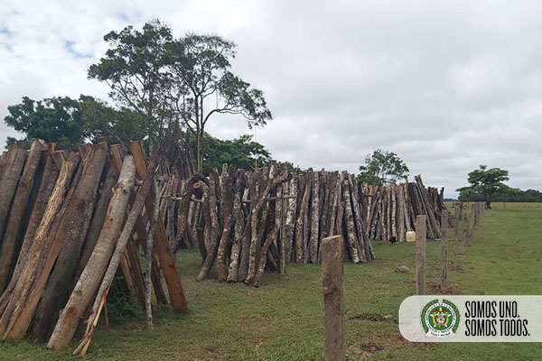 Todos-contra-la-deforestación-en-el-Meta3