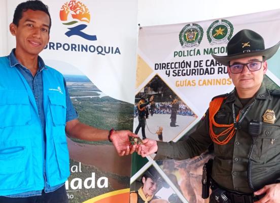 Rescatada una tortuga sabanera