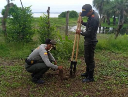 Trabajando por la naturaleza