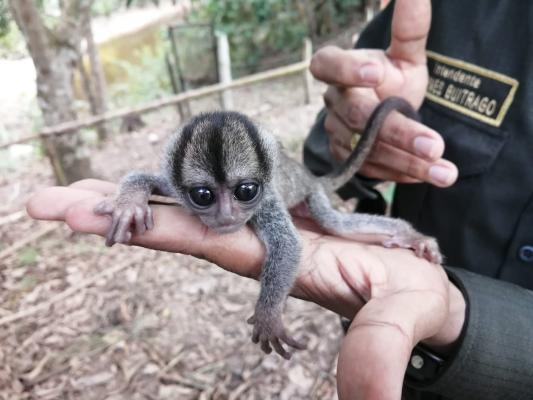 Esta Semana Santa: apasiónate por la naturaleza