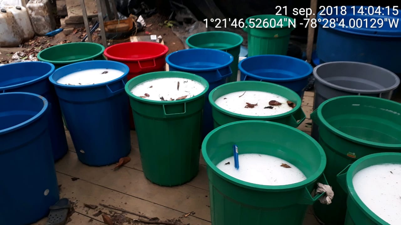 Ubicamos-la-“cocina”-de-producción-de-alcaloides-de-Guacho