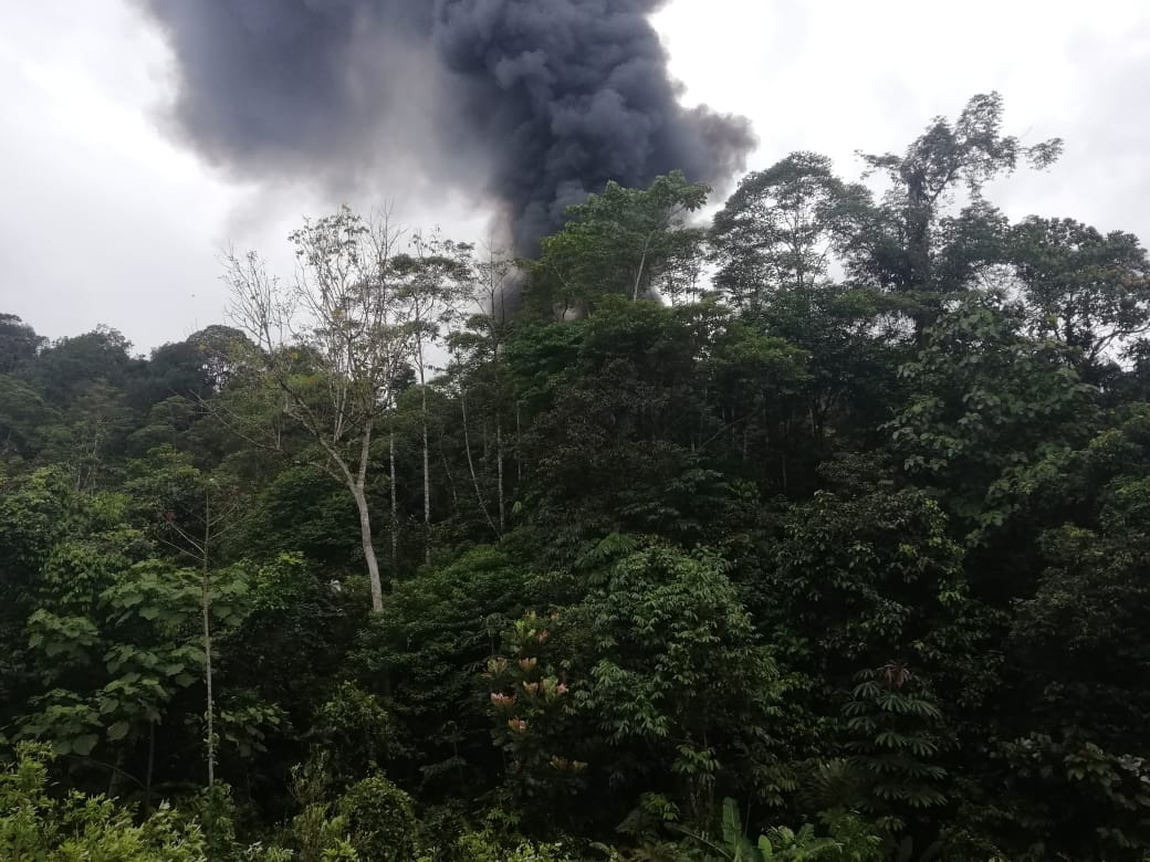 Ubicamos-la-“cocina”-de-producción-de-alcaloides-de-Guacho