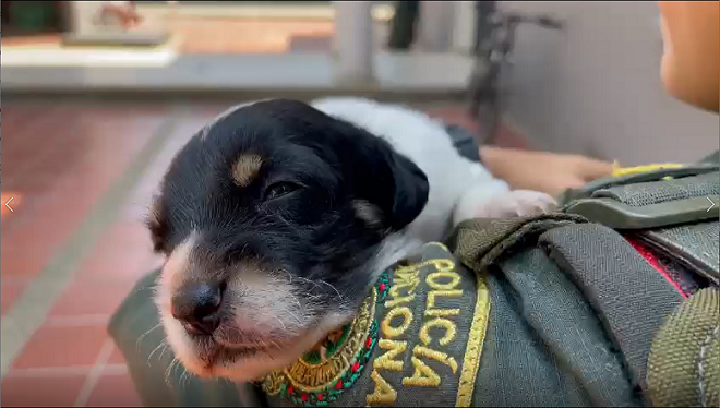 Un grito de silencio que pide auxilio 