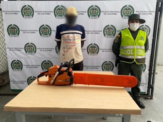 Utilizando-una-motosierra-taló-cerca-de-una-hectárea-de-bosque-en-zona-rural-de-Granada-1