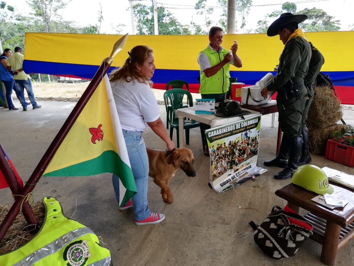 Vacunación de animales