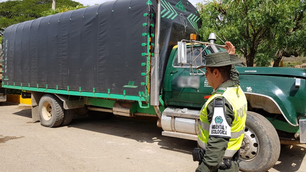 el-procedimiento-fue-realizado-por-uniformados-del-grupo-de-protección-ambiental-y-ecológica-con-el-apoyo-del-ejército-nacional