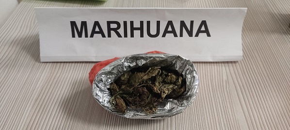 Alucinógenos incautados