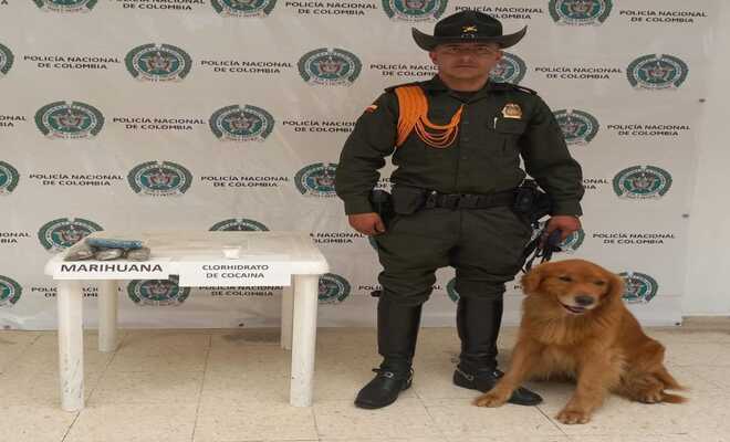 el paquete pretendia ser enviado a policarpa