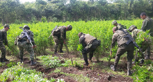 231115-destruccion-laboratorio-coca-meta