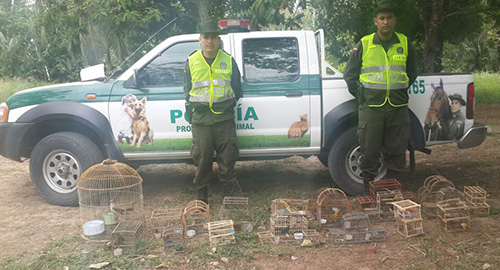 200315-incautacion-aves-uraba