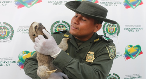 rescate-especies-silvestres-cartagena-policia