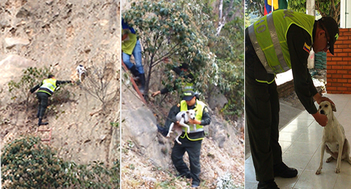 POLICIA NACIONAL RESCATA A MANCHAS
