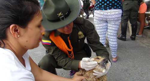 prpteccion-animal-cauca