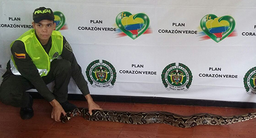 240815-rescate-boa-vivienda-meta