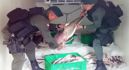 pescado no apto para consumo 21-01-2015