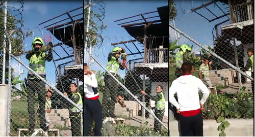 RESCATE IGUANA POLICIAS DEL CUADRANTE