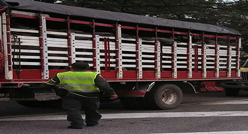 061114-incautacion-ganado-meta