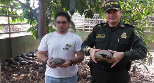 rescate-tortugas