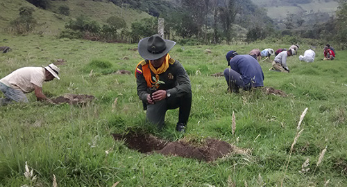 300415-siembra-arboles-narino