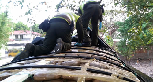narco-caldas-marihuana-camion-policia