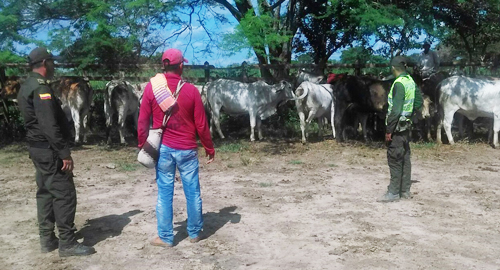 251115-actividad-control-abigueato