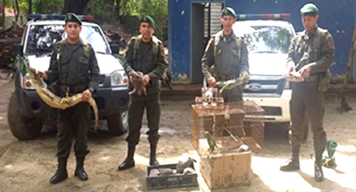 311014-dicar-fauna-incautadas-especies