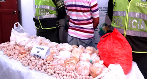 policia-bolivar-huevos-iguana-medio ambiente