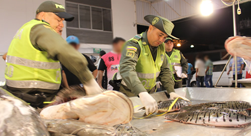 pescado_bucaramanga