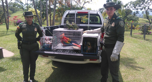 141215-incautacion-animales-extincion