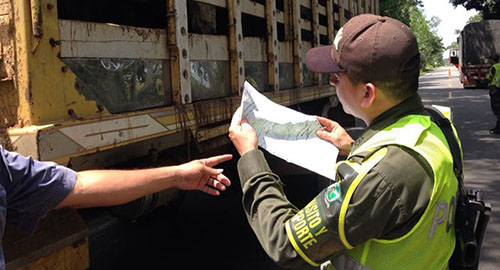 060415-incautacion-abigeato-meta