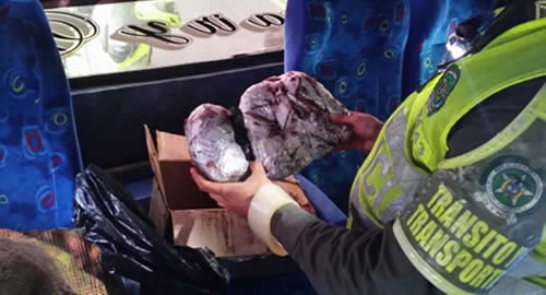 marihuana_risaralda_bus