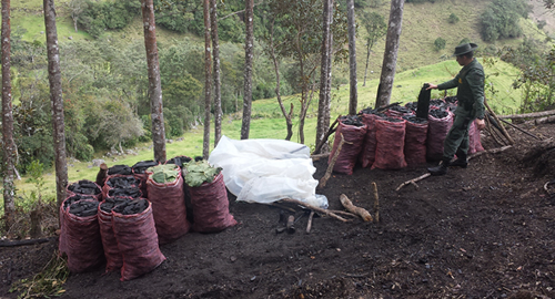 221114-CARBON-VIVE LA NAVIDAD-NATURALEZA-POLICIA