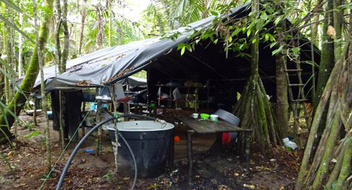 190315-incautacion-laboratorio-procesamiento-coca