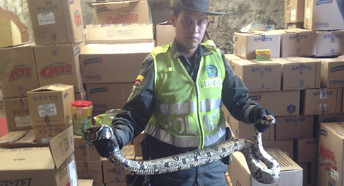 120515-rescate-boa-vollavicencio