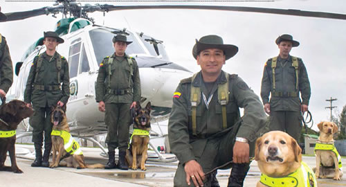 rey_de_los_perros_antinarcoticos