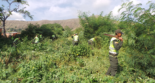 recuperacion parques