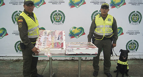 160415-incautacion-marihuana-amazonas