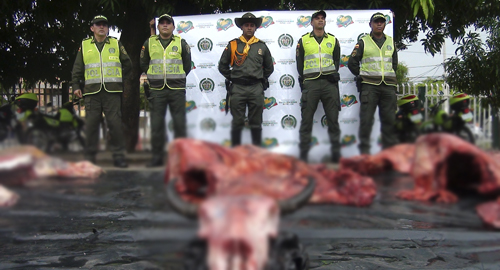 260815-mataderos-ilegales-incautacion-carne