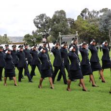 Administraci&oacute;n Policial
